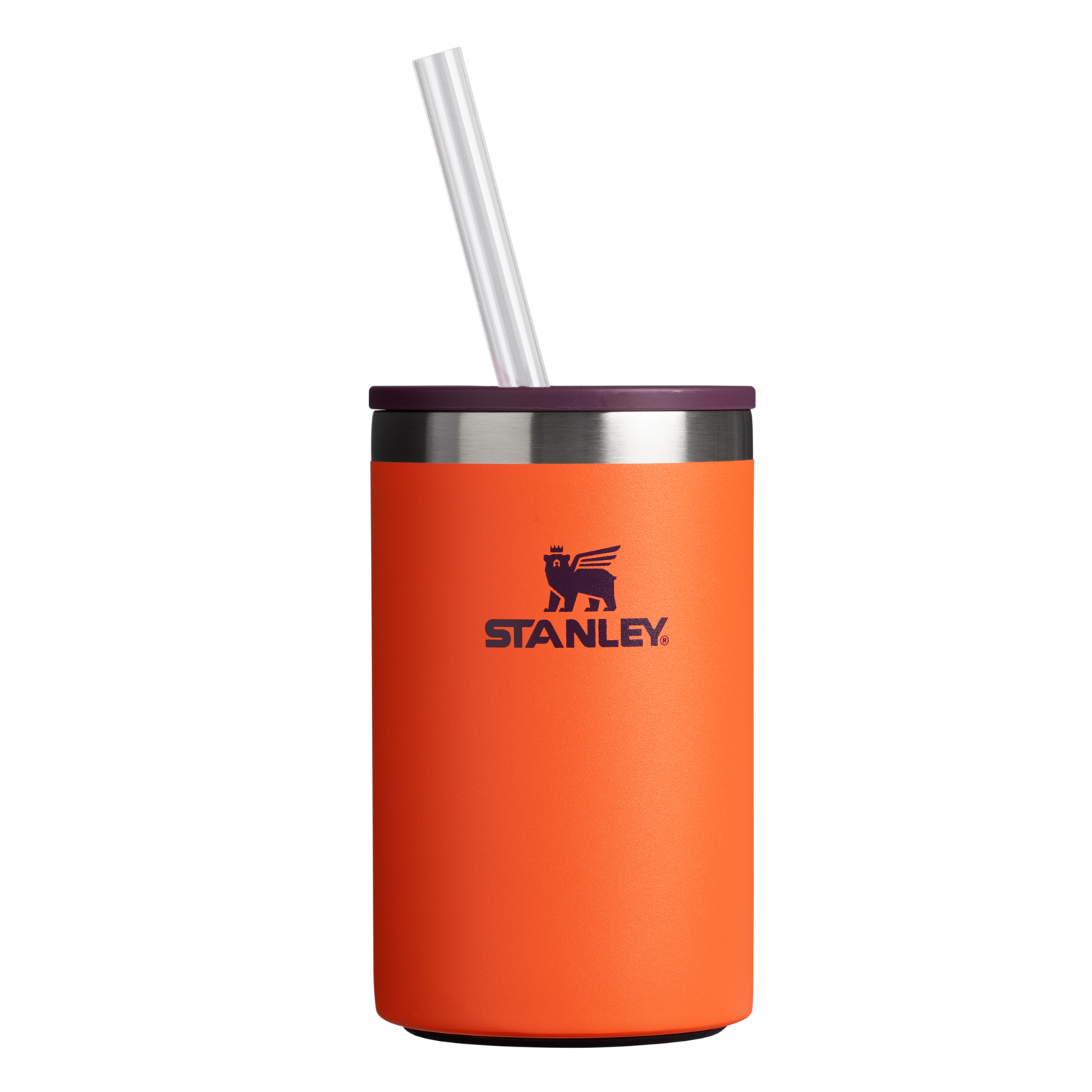 The Everyday Can Cooler Cup | 10 OZ - Stanley Create